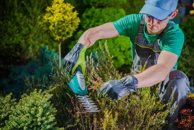landscaping services Spalding